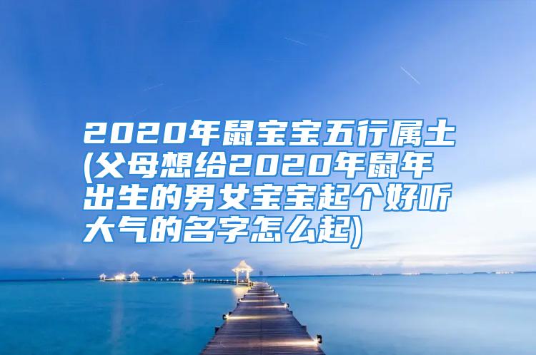 2020年鼠宝宝五行属土(父母想给2020年鼠年出生的男女宝宝起个好听大气的名字怎么起)