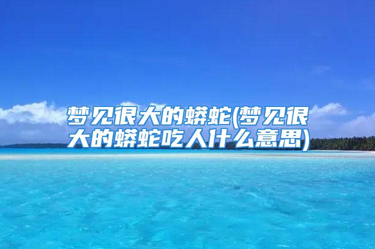 梦见很大的蟒蛇(梦见很大的蟒蛇吃人什么意思)