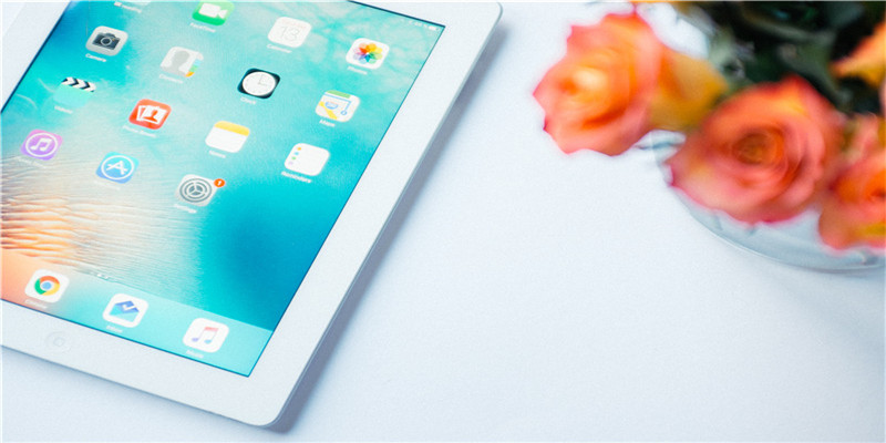 女人梦到多条鳄鱼(周公解梦梦见鳄鱼是什么意思)