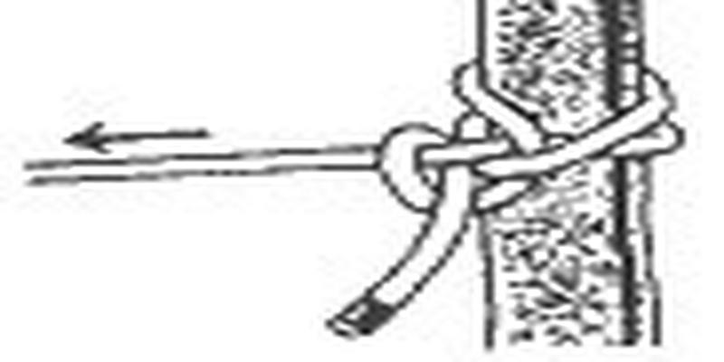 登山八字扣的绑法图解(学好这50多种户外绳子打结)