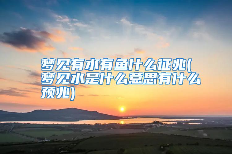 梦见有水有鱼什么征兆(梦见水是什么意思有什么预兆)