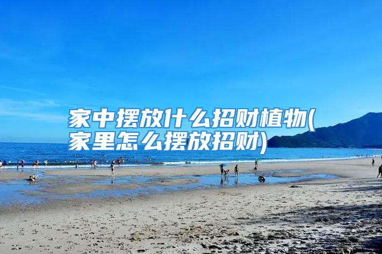家中摆放什么招财植物(家里怎么摆放招财)