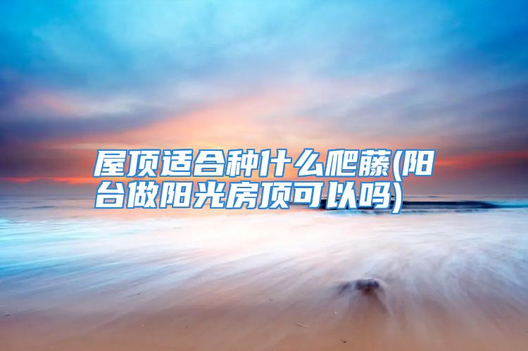 屋顶适合种什么爬藤(阳台做阳光房顶可以吗)
