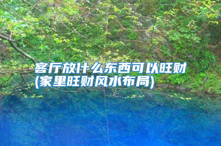 客厅放什么东西可以旺财(家里旺财风水布局)