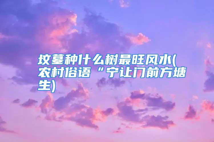 坟墓种什么树最旺风水(农村俗语“宁让门前方塘生)