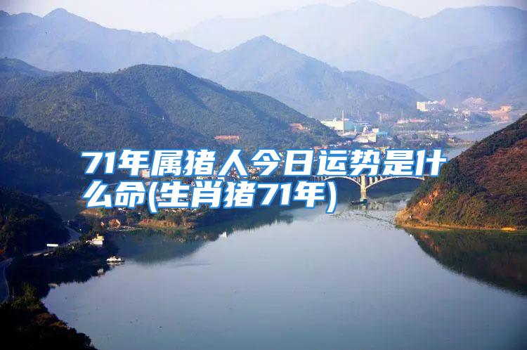 71年属猪人今日运势是什么命(生肖猪71年)