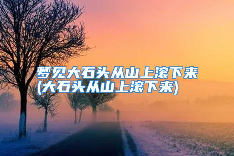梦见大石头从山上滚下来(大石头从山上滚下来)