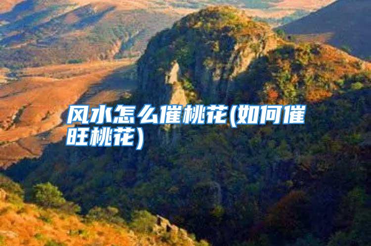 风水怎么催桃花(如何催旺桃花)