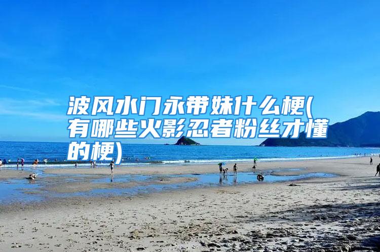波风水门永带妹什么梗(有哪些火影忍者粉丝才懂的梗)