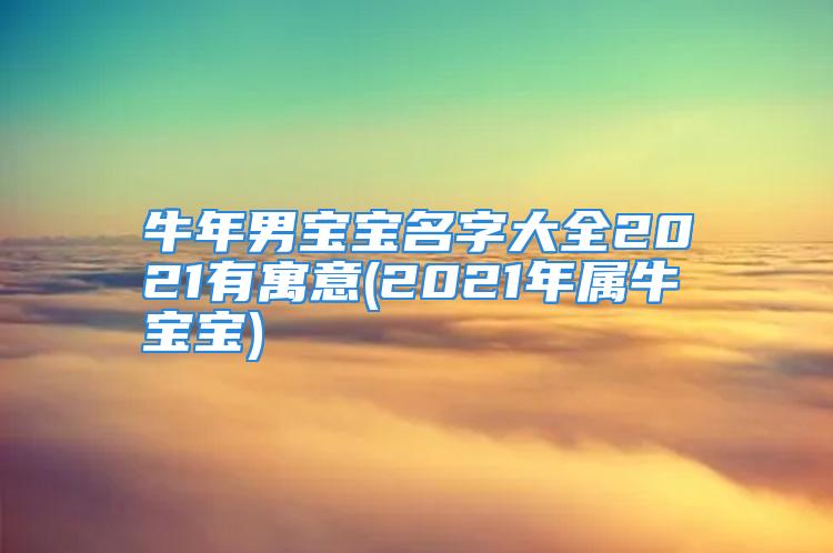 牛年男宝宝名字大全2021有寓意(2021年属牛宝宝)