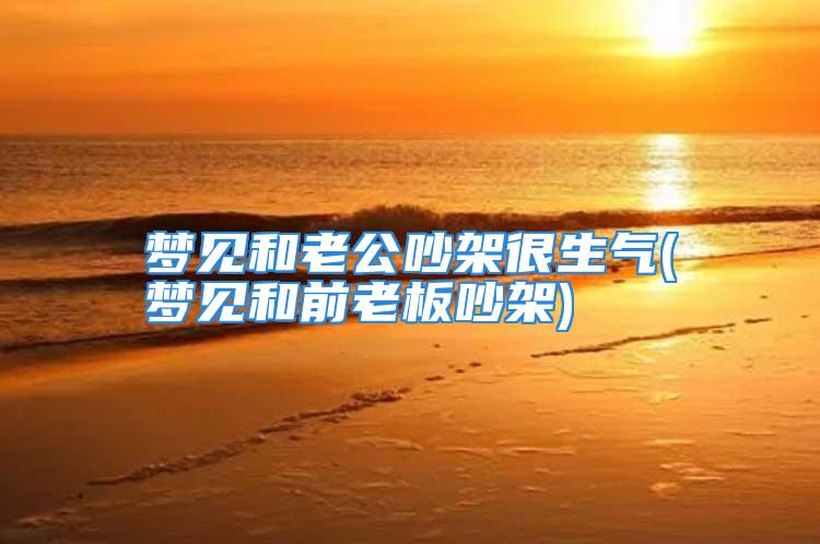 梦见和老公吵架很生气(梦见和前老板吵架)