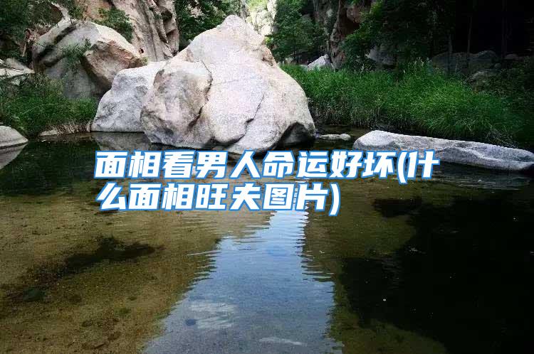面相看男人命运好坏(什么面相旺夫图片)