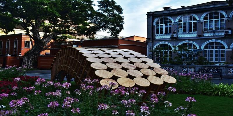 虫子进屋是跟风水有关吗(为什么家门口不能种大树)