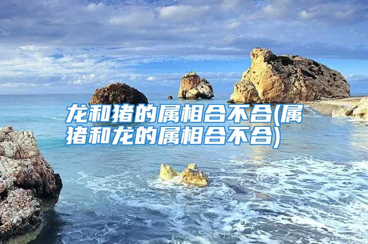 龙和猪的属相合不合(属猪和龙的属相合不合)