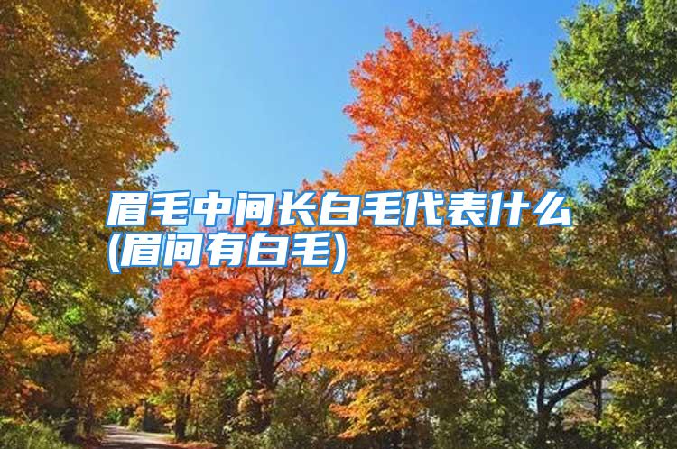 眉毛中间长白毛代表什么(眉间有白毛)