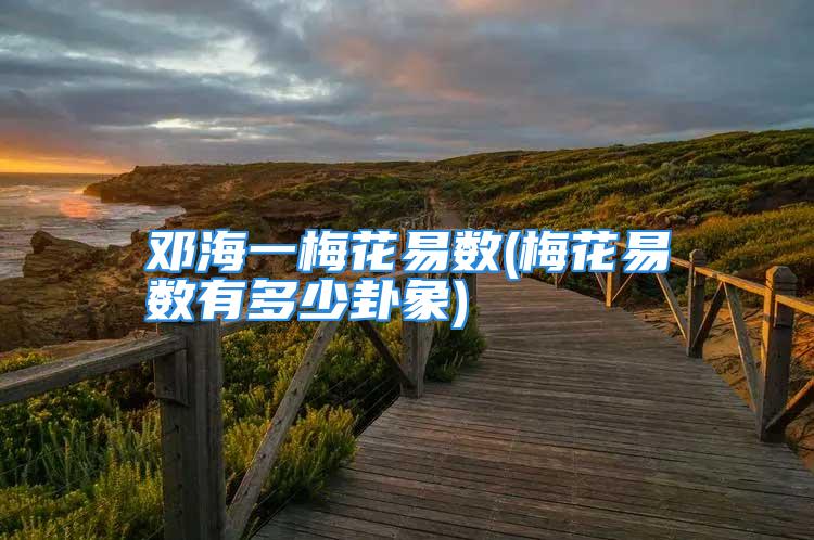 邓海一梅花易数(梅花易数有多少卦象)