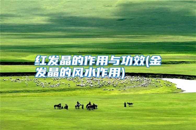 红发晶的作用与功效(金发晶的风水作用)