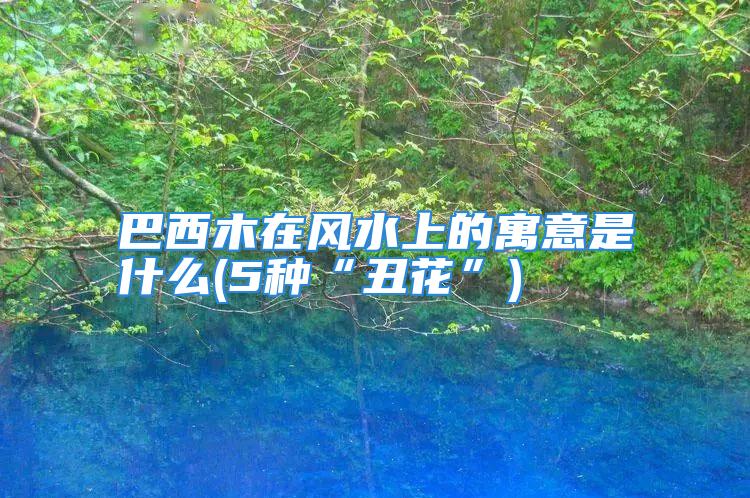 巴西木在风水上的寓意是什么(5种“丑花”)