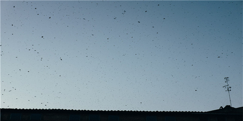 熊取名字男孩的名字大全(给熊熊取名字)