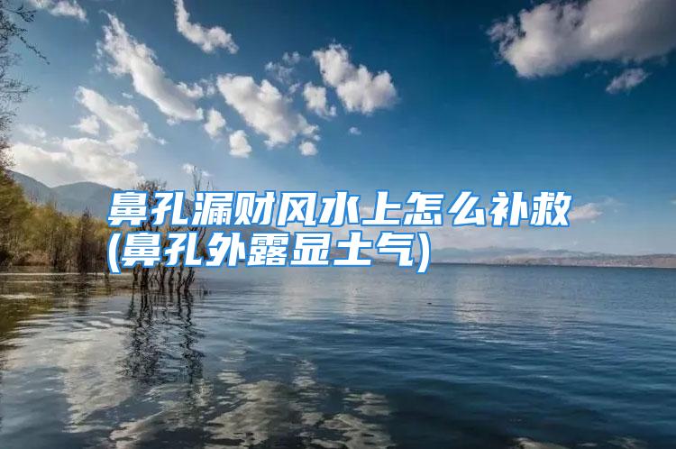 鼻孔漏财风水上怎么补救(鼻孔外露显土气)