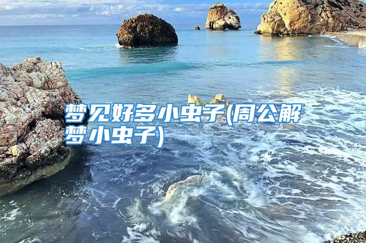 梦见好多小虫子(周公解梦小虫子)