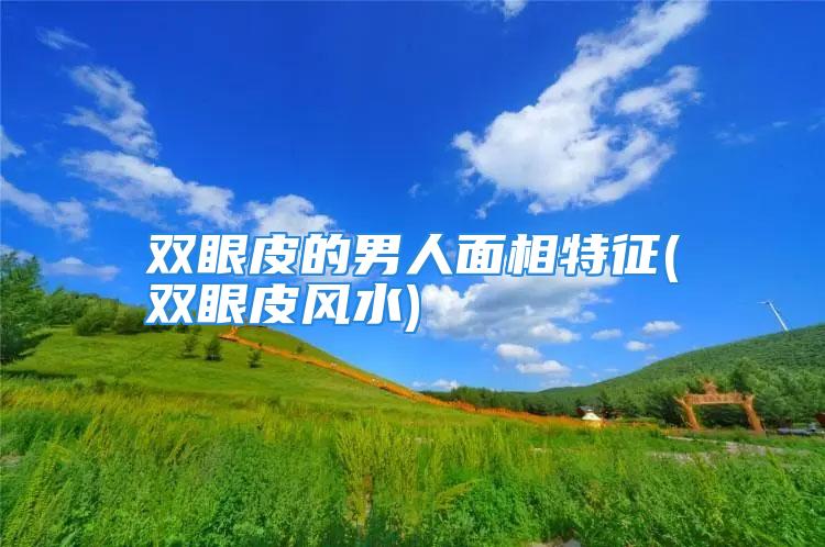双眼皮的男人面相特征(双眼皮风水)