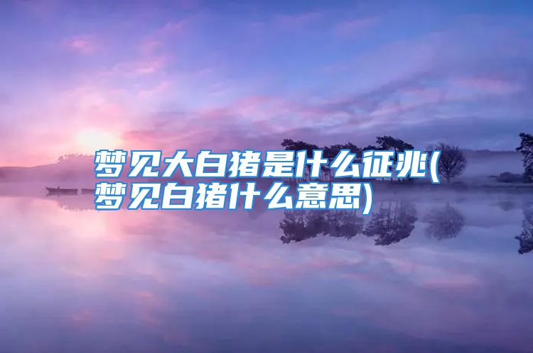 梦见大白猪是什么征兆(梦见白猪什么意思)