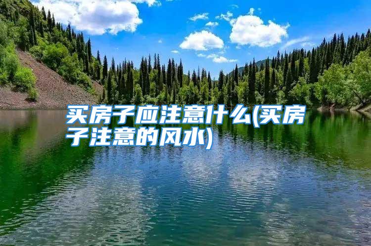 买房子应注意什么(买房子注意的风水)