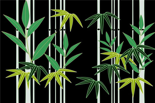 凤尾竹风水有何讲究(凤尾竹风水有何讲究)