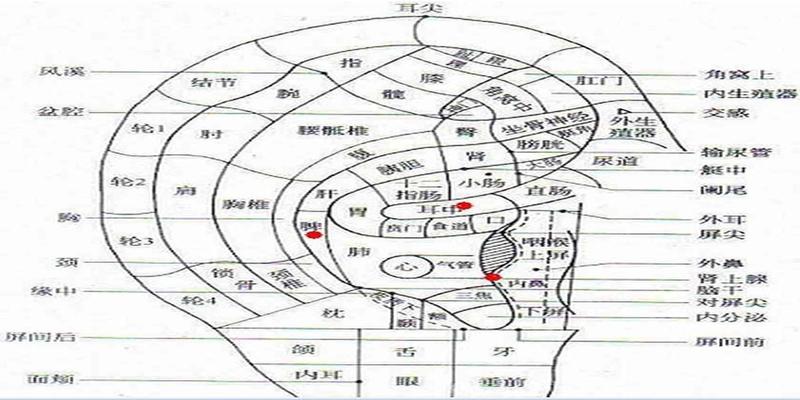 耳鸣风水上来说哪个方位管着(防治耳鸣经络拍打方法)