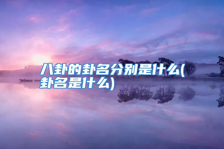 八卦的卦名分别是什么(卦名是什么)