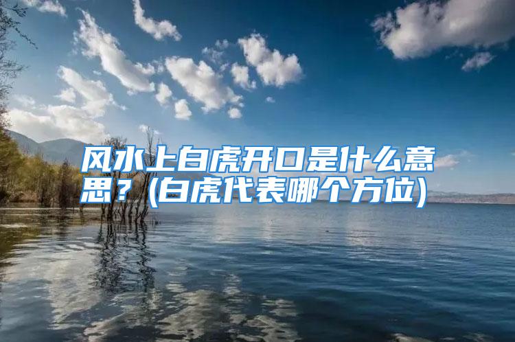 风水上白虎开口是什么意思？(白虎代表哪个方位)