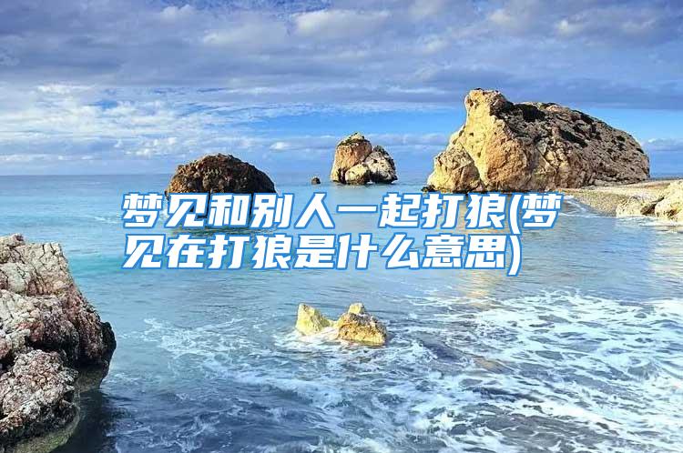 梦见和别人一起打狼(梦见在打狼是什么意思)