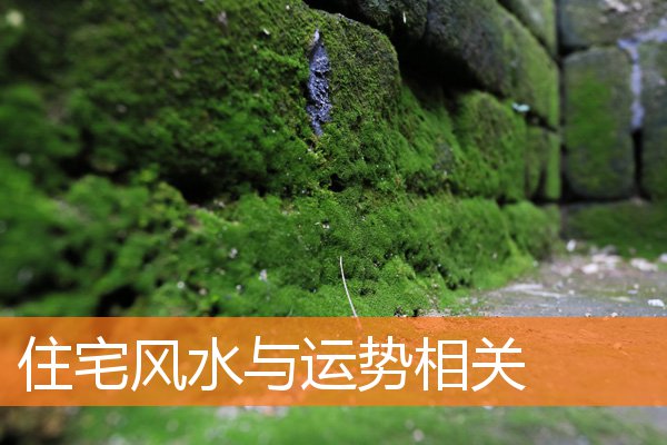 住宅风水与运势相关(宅运盘的吉凶详解)