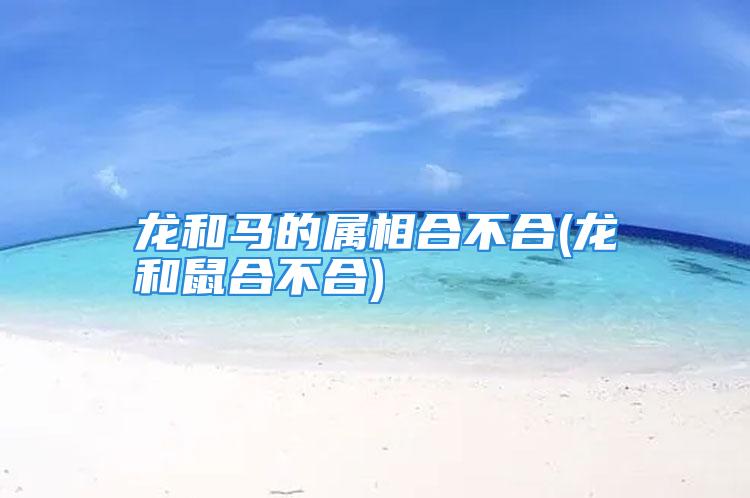 龙和马的属相合不合(龙和鼠合不合)