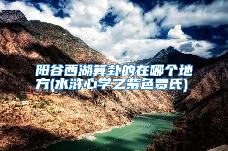 阳谷西湖算卦的在哪个地方(水浒心学之紫色贾氏)