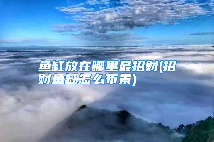 鱼缸放在哪里最招财(招财鱼缸怎么布景)