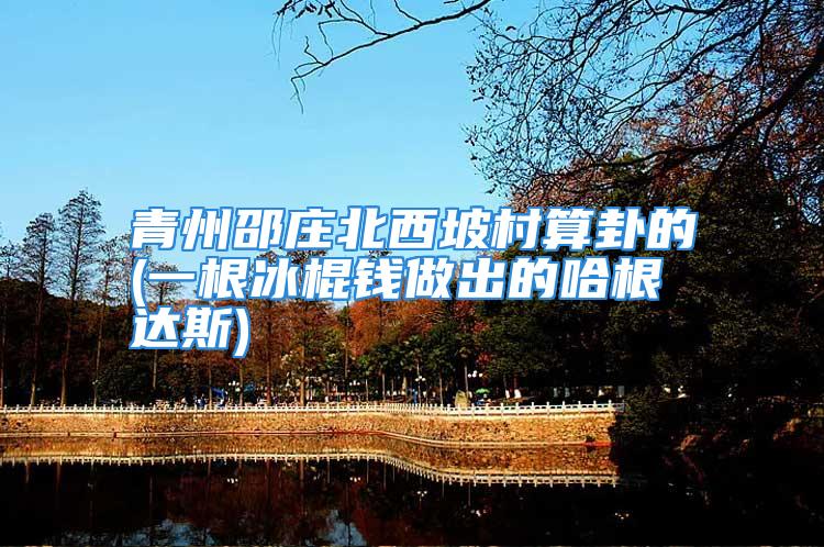 青州邵庄北西坡村算卦的(一根冰棍钱做出的哈根达斯)