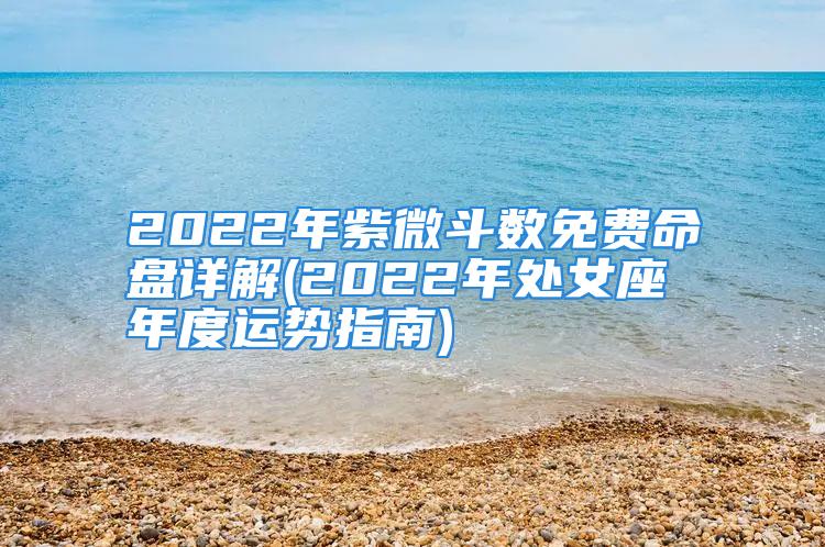 2022年紫微斗数免费命盘详解(2022年处女座年度运势指南)