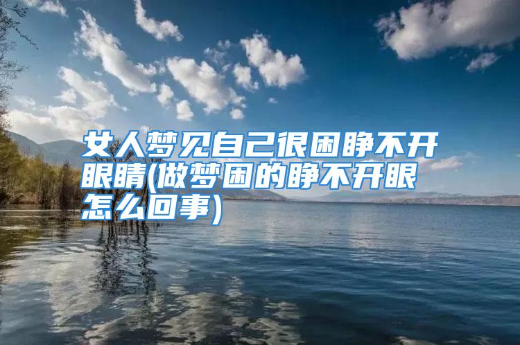 女人梦见自己很困睁不开眼睛(做梦困的睁不开眼怎么回事)