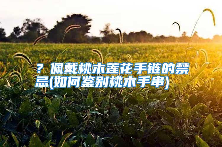 ？佩戴桃木莲花手链的禁忌(如何鉴别桃木手串)