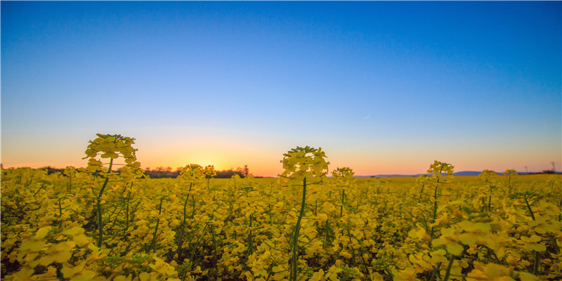 游戏昵称二字(二字游戏名字)