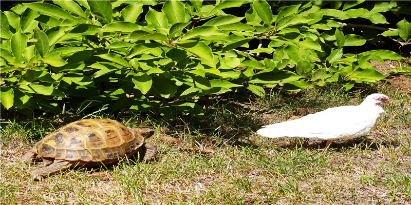 下午两点出生的男孩名字(全网都在喊“分数低”)