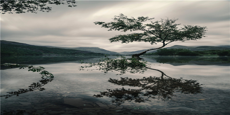 梦见情景(梦里梦到的场景现实发生了一模一样)