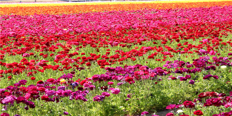 用神伏藏世爻下面(六爻用神伏藏代表什么)
