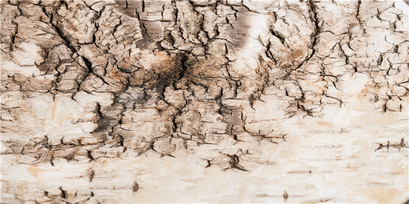 梦见老公不理自己还躲着自己(梦见老公的属相好不好)