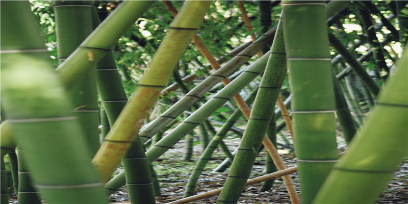 风水六大形煞分别是什么?(四煞是什么)