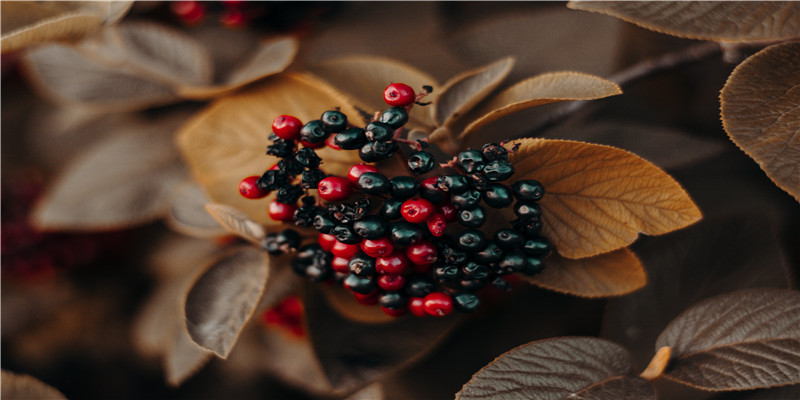 能出名的男人面(有出息的男人面相)