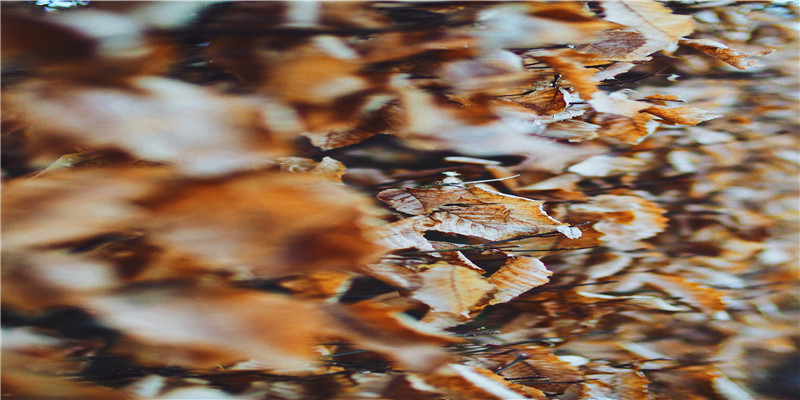 梦见自己飞可以控制(做梦得财意味什么)