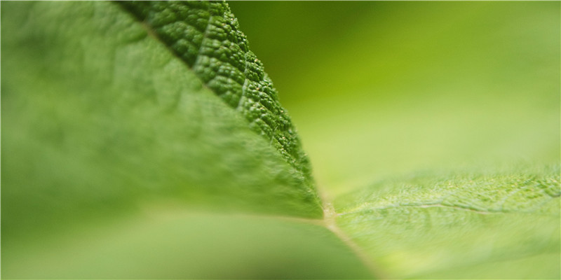 梦见搬家(梦到了搬家)